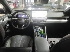 Geely Xingrui Oriental Radiance 2.0T Diesel Today Edition - ფოტო 9