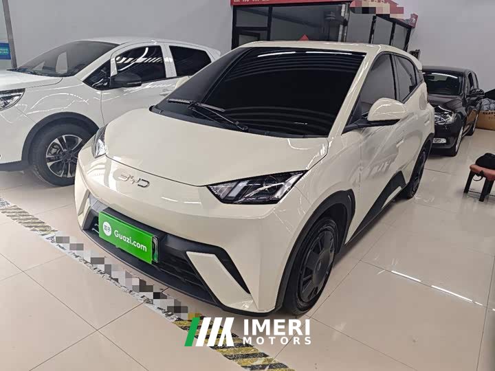 BYD Seagull 305km Vitality Edition - ავტომობილი ჩინეთიდან