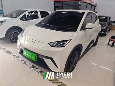 2025 BYD Seagull 305km Vitality Edition - ავტომობილი ჩინეთიდან