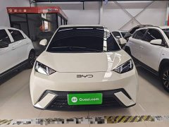 BYD Seagull 305km Vitality Edition - ფოტო 2