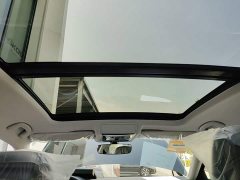 Volkswagen Passat Outstanding Edition 380TSI Dragon Ascendant Version - ფოტო 17
