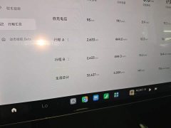 Xiaomi SU7 Quad Motor Ultra-Long Range Advanced Autonomous Driving Max - ფოტო 11