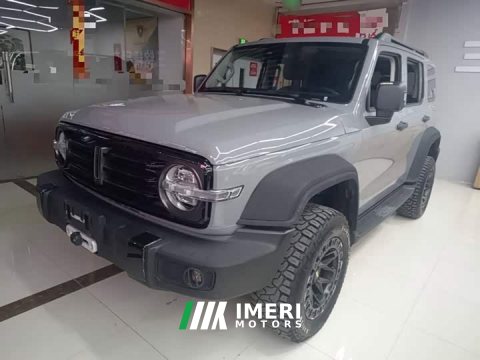 2021 Tank 300 Off-Road Edition 2.0T Conqueror - ავტომობილი ჩინეთიდან