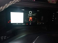 Tank 300 Off-Road Edition 2.0T Conqueror - ფოტო 11