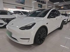 Tesla Model Y Performance All-Wheel Drive - ფოტო 1