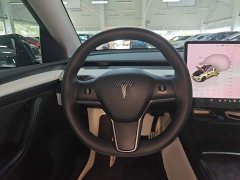 Tesla Model Y Performance All-Wheel Drive - ფოტო 10