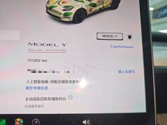 Tesla Model Y Performance All-Wheel Drive - ფოტო 11