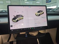 Tesla Model Y Performance All-Wheel Drive - ფოტო 12