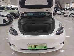 Tesla Model Y Performance All-Wheel Drive - ფოტო 19