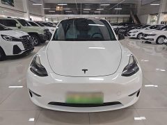 Tesla Model Y Performance All-Wheel Drive - ფოტო 2