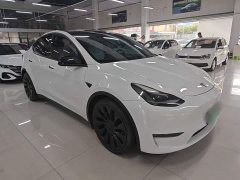 Tesla Model Y Performance All-Wheel Drive - ფოტო 3