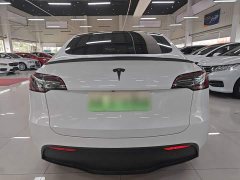 Tesla Model Y Performance All-Wheel Drive - ფოტო 5