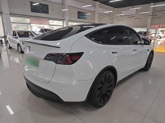 Tesla Model Y Performance All-Wheel Drive - ფოტო 6