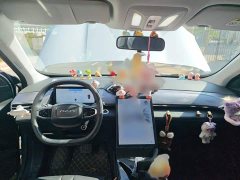 Dongfeng Haohao DH-i 1.5T Luxury Edition - ფოტო 12