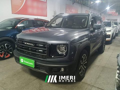2025 Great Wall Dachshund 1.5T DCT Labrador Edition - ავტომობილი ჩინეთიდან