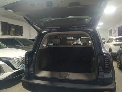 Great Wall Dachshund 1.5T DCT Labrador Edition - ფოტო 18