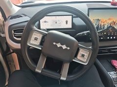 Fangchengbao Titanium 3 501KM Rear-Wheel Drive Max Edition - ფოტო 10