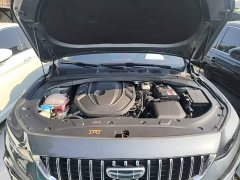 Geely Xingrui 2.0T Diesel Luxury - ფოტო 19
