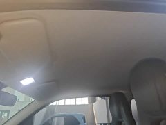 Wuling Hongguang MINIEV Zizai Edition LFP Battery - ფოტო 17