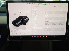 Tesla Model Y Rear-Wheel Drive - photo 11