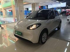 Wuling Binguo 203km Light Enjoy Edition - photo 1