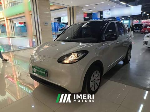2025 Wuling Binguo 203km Light Enjoy Edition