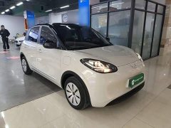 Wuling Binguo 203km Light Enjoy Edition - photo 3