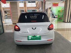 Wuling Binguo 203km Light Enjoy Edition - photo 5