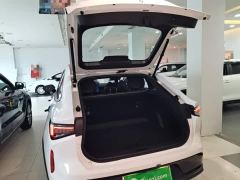 Livan Motors 7 605km Honor Edition - ფოტო 18