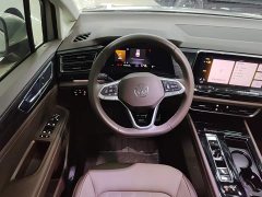 Volkswagen Viloran 380TSI Zunchi Edition - ფოტო 10