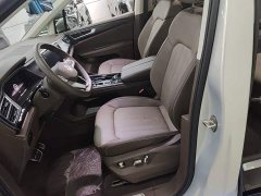Volkswagen Viloran 380TSI Zunchi Edition - ფოტო 14