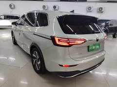 Volkswagen Viloran 380TSI Zunchi Edition - ფოტო 4
