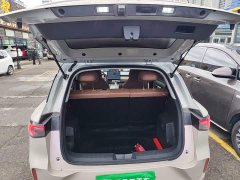 Wuling Bingo S 325km Flagship - ფოტო 18