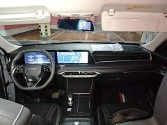 Nissan Raize 260T Love Bean Edition - ფოტო 10