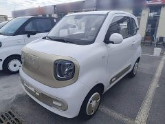 FAW Besturn Xiaoma 222km Dynamic Edition - ფოტო 1