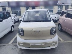FAW Besturn Xiaoma 222km Dynamic Edition - ფოტო 2