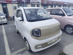 FAW Besturn Xiaoma 222km Dynamic Edition - ფოტო 3