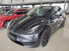 Tesla Model Y Rear-Wheel Drive - photo 1