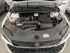 BYD Qin PLUS DM-i Smart Driving Edition 120KM Excellence - ფოტო 19