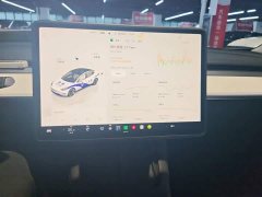 Tesla Model 3 Rear-Wheel Drive - photo 12