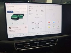 Li Auto L9 Max - ფოტო 12