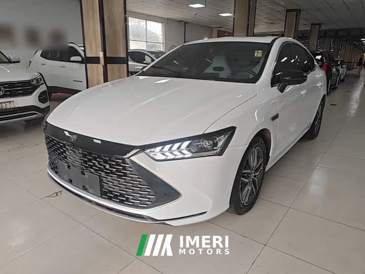 BYD Qin PLUS Champion Edition DM-i 55KM Exceed