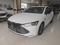 BYD Qin PLUS Champion Edition DM-i 55KM Exceed - ფოტო 1