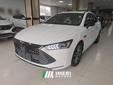 2023 BYD Qin PLUS Champion Edition DM-i 55KM Exceed - ავტომობილი ჩინეთიდან