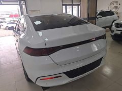 BYD Qin PLUS Champion Edition DM-i 55KM Exceed - ფოტო 4