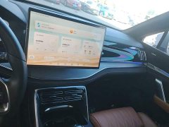 BYD Yuan Plus DM-i Champion Edition 112KM Deluxe - ფოტო 12