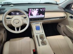 Wuling Bingo S 430km Flagship - ფოტო 9