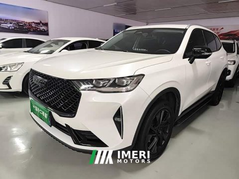 2021 Haval H6 Third Generation 1.5T Automatic Two-Wheel Drive Supreme - ავტომობილი ჩინეთიდან