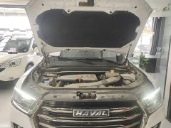 Haval H6 National Trend 1.5GDIT Automatic Champion Edition - ფოტო 19