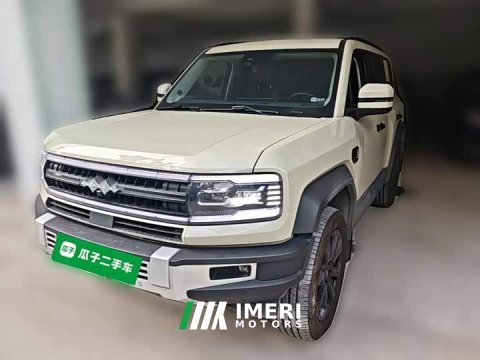 2024 Volkswagen Leopard 5 Navigator Edition - ავტომობილი ჩინეთიდან